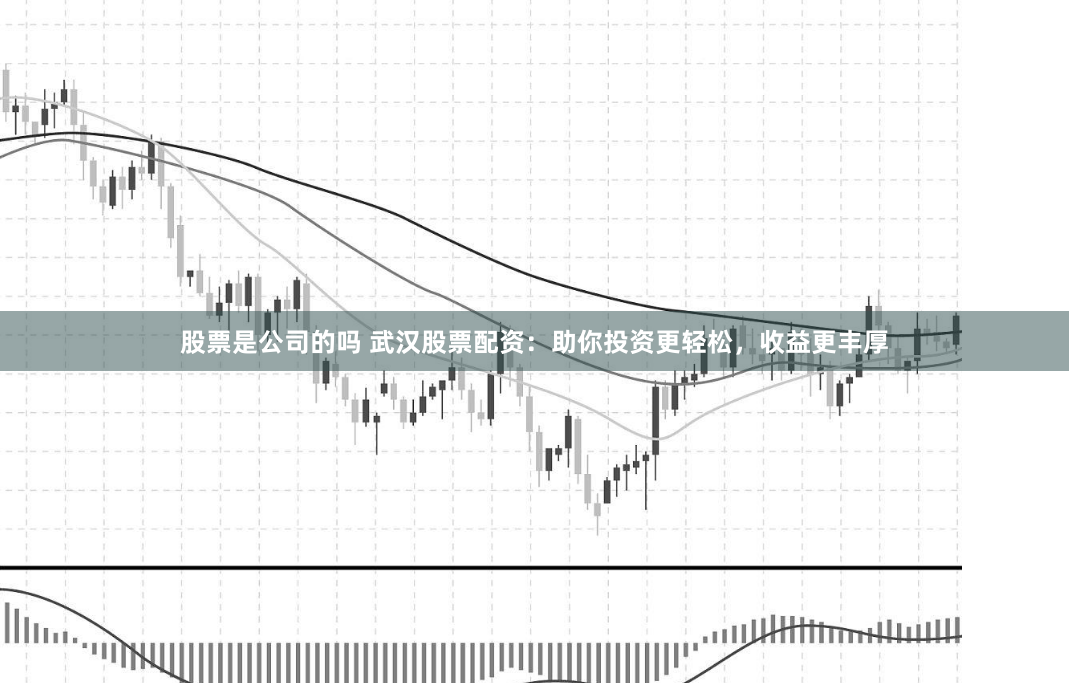 股票是公司的吗 武汉股票配资：助你投资更轻松，收益更丰厚